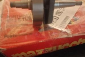 Albero Mazzucchelli vespa