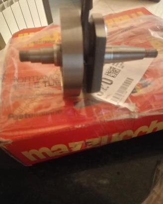 Albero Mazzucchelli vespa