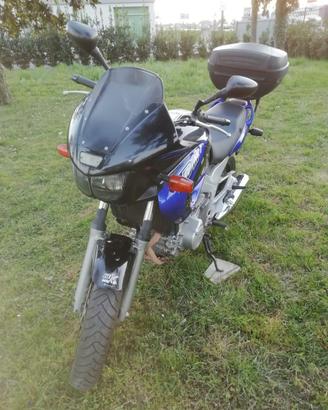 Yamaha TDM 850 (1999) Solo 35.800km