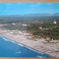 5 cartoline Tirrenia