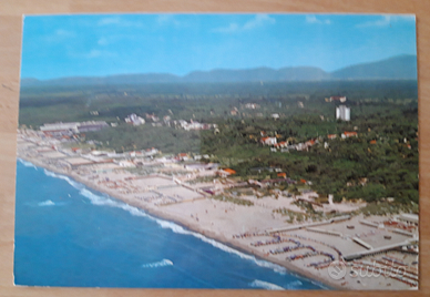 5 cartoline Tirrenia