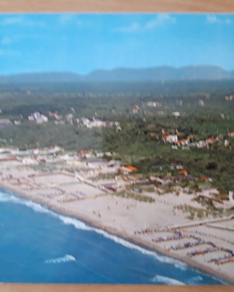5 cartoline Tirrenia