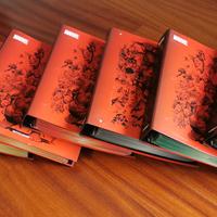 MARVEL FACT FILES SERIE COMPLETA 1-150