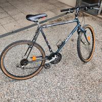 Bicicletta da Uomo