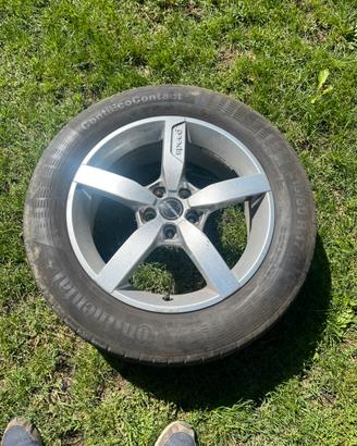 Cerchi in lega 17”