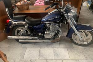 Jinlun 250