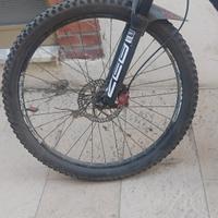 bici elettrica 