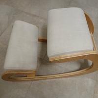 Sedia Ufficio/casa/PC Ergonomica