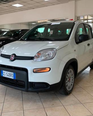 Fiat Panda 1.0 FireFly S Hybrid *IVA DEDUCIBILE*