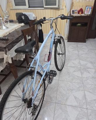 bici declaton