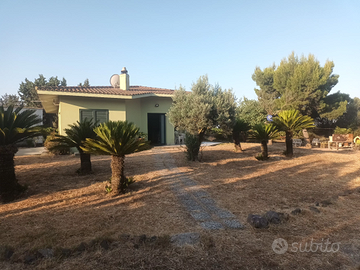 Villa tra Decimomannu e San Sperate un ettaro