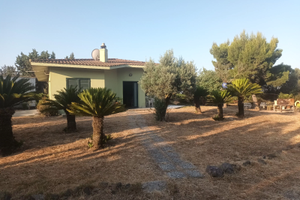 Villa tra Decimomannu e San Sperate un ettaro