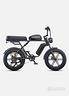 fat-bike-engwe-m1-250w-doppia-batteria-nuovo
