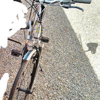 City bike 28 Touring NSR Nuzzi xtrailer 