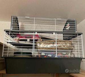 Gabbietta per coniglio