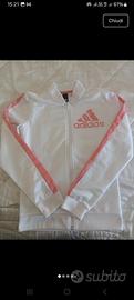 Felpa Adidas 10 anni