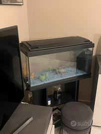 Acquario Nuova generazione 80 litri