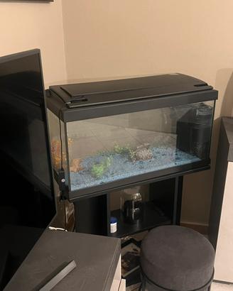 Acquario Nuova generazione 80 litri