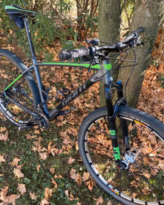 Mtb Giant 29 L