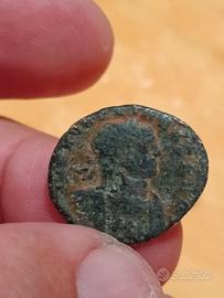Massimino, follis