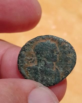 Massimino, follis