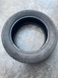 Gomme estive