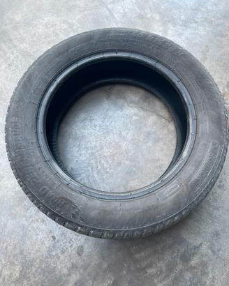 Gomme estive