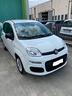 fiat-panda-1-0-firefly-s-s-hybrid-easy