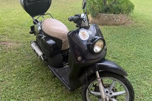 Benelli Pepe 50