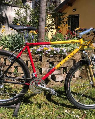 Gary Fisher Evolution in perfette condizioni