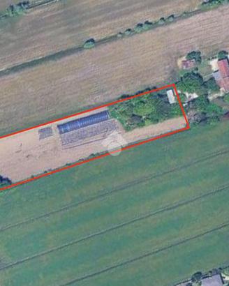 TER. AGRICOLO A CEGGIA