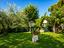 Immagine 25
