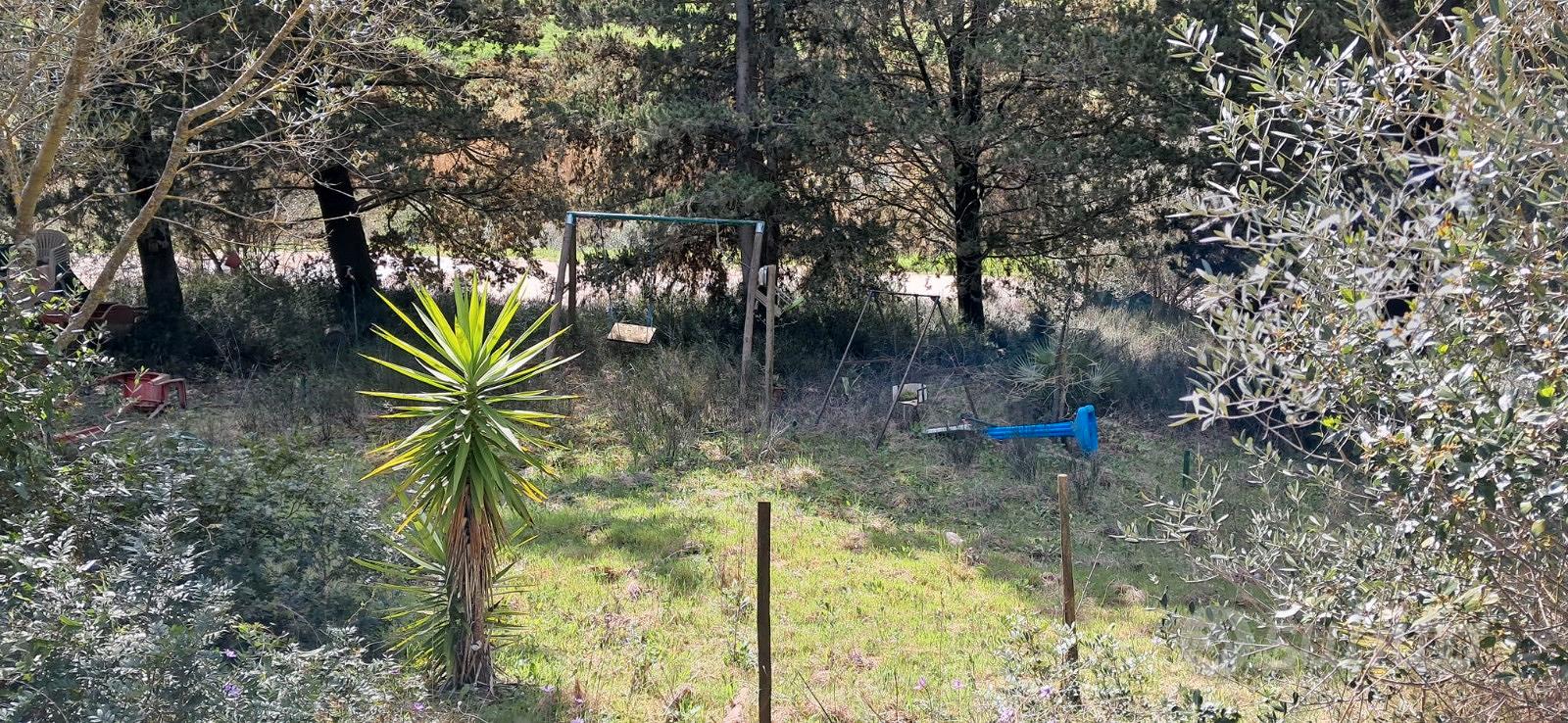 Terreno loc.valli Follonica 1800 mq - Vista 4