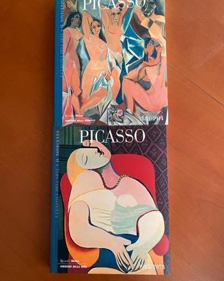2 volumi nuovi Picasso