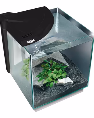 Acquario 30 L Completo NEWA More Reef 30