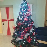 albero di Natale nuovo