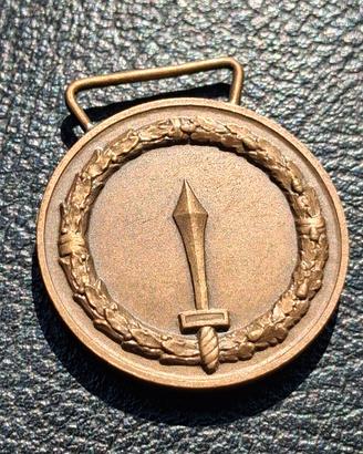 Medaglia esercito italiano, condizioni perfette