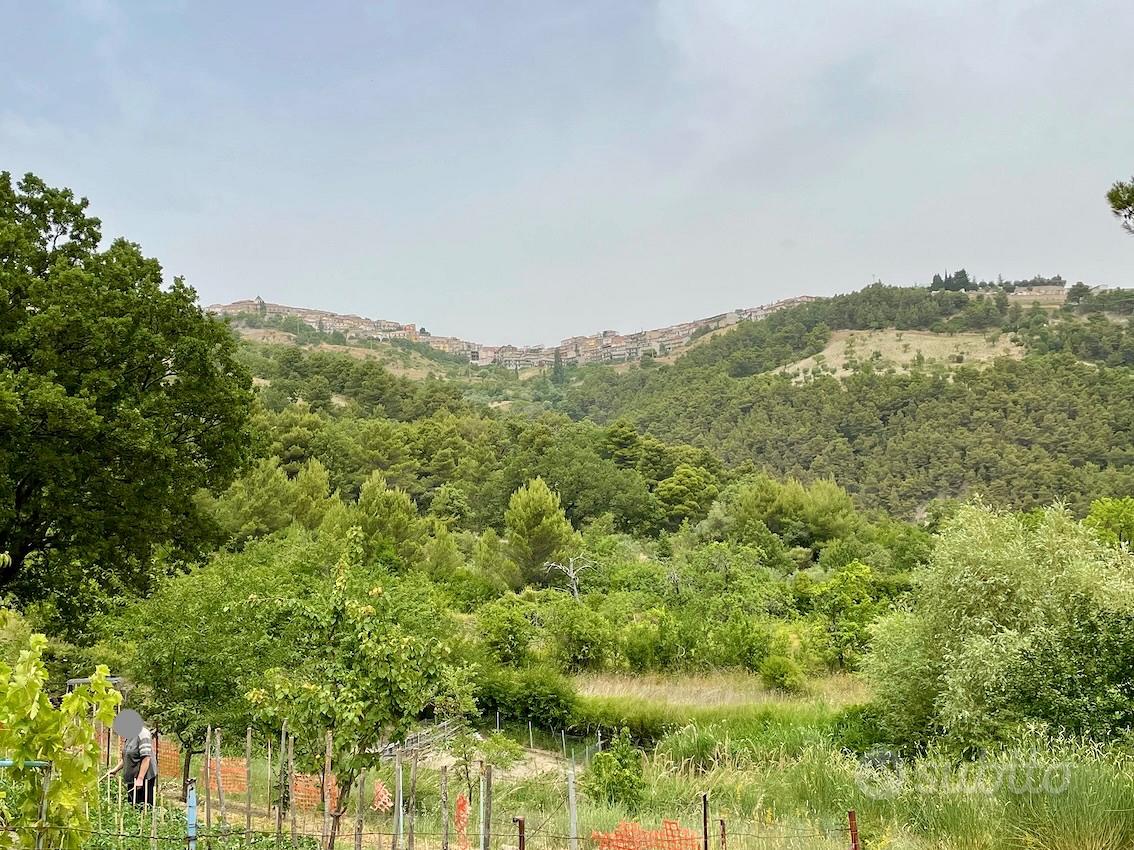 Esclusiva proprieta' agricola in montagna - Vista 5