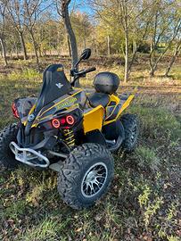 Can am 500 2008