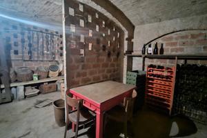 Spaziosa Cantina a volta in centro a Bologna