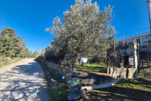 Indipenden/Piano dell'Occhio/Zio Caliddo rif.98/25