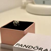 Charm Pandora