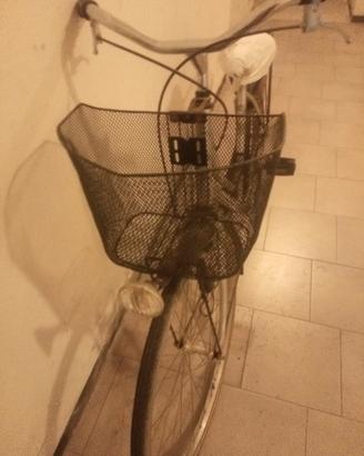 bicicletta donna 