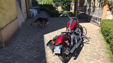 Harley Davidson Street bob 1690