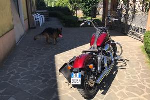 Harley Davidson Street bob 1690