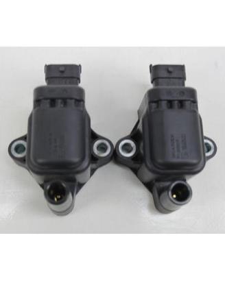 BOBINE (2X) DUCATI MULTISTRADA 1260 2018 2020