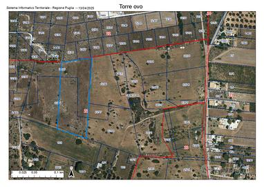 Terreno Torre Ovo