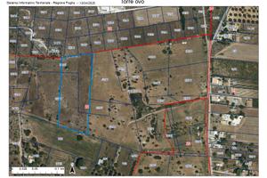 Terreno Torre Ovo