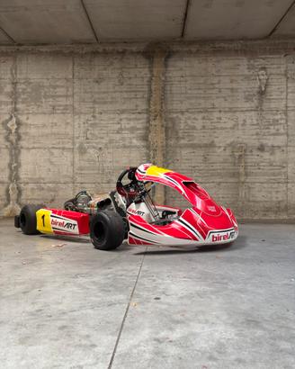 birel s16