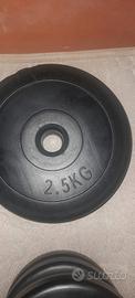 dischi per pesistica, 15kg totali